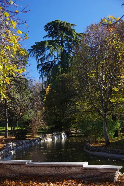 Día ordinario en el parque Retiro, Madrid, España — Foto de Stock