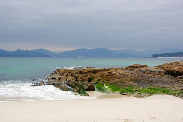 Färgglada flora på stenar på Vao beach, Vigo, Galicien, Spanien — Stockfoto