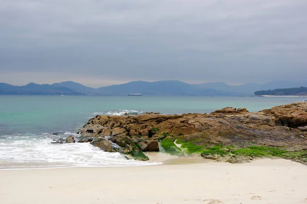Farbenfrohe Flora auf Felsen am Strand von Vao, Vigo, Galicien, Spanien lizenzfreie Stockfotos
