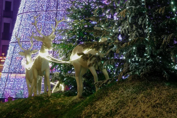 Porta Do Sol, Vigo, Galicia, Ispanya 'da Noel dekorasyonu