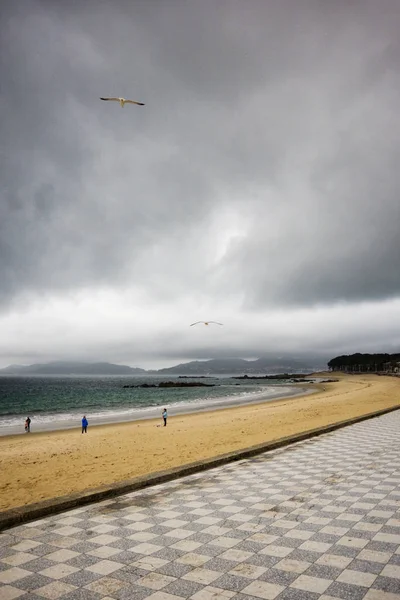 Måsen i vinden på Samil beach, Vigo, Galicien, Spanien — Stockfoto