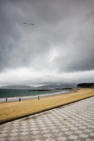 Martı Rüzgar Deep beach, Vigo, Galiçya, İspanya