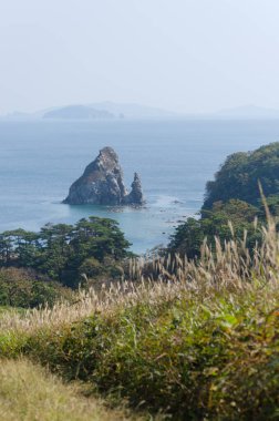 Bir kayayla sahile giden yol.