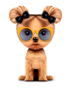 Beyaz izole gözlüklü şirin köpek.