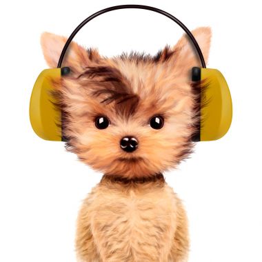 Beyaz izole kulaklık komik köpek