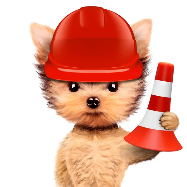 Funny dog in red hard hat Isolated on white — Stock Photo, Image