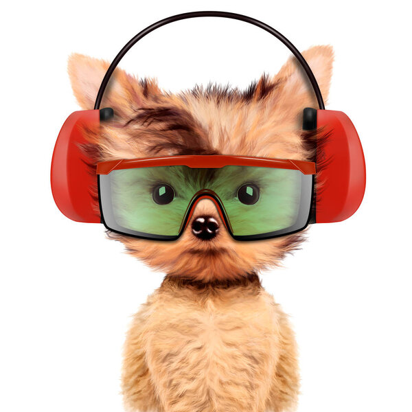 Смешная собака в наушнике, изолированная на белом
