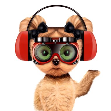Kulaklık ve koruyucu gözlük ile komik köpek