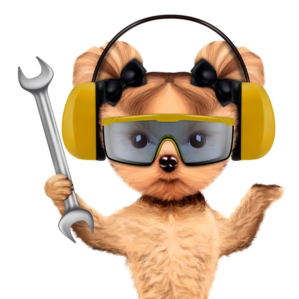 Divertido perro con llave inglesa, auriculares y gafas protectoras — Foto de Stock