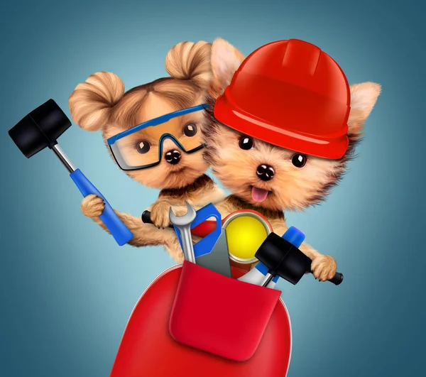 Grappige hond met hulpmiddelen van de bouw en scooter — Stockfoto