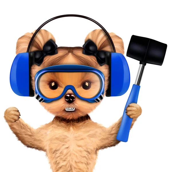 Funny dog with hammer, earphones and protective goggles