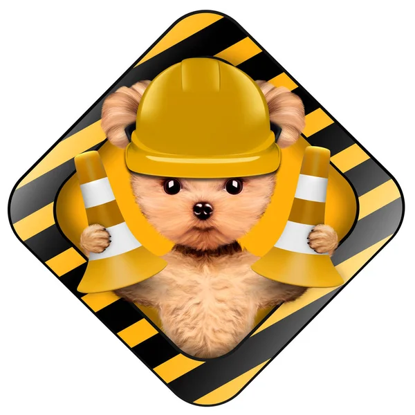 Grappige puppy met tools houden bouw waarschuwingsbord — Stockfoto