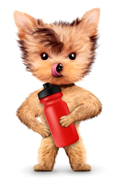 Divertido perro sosteniendo agitador o botella de agua — Foto de Stock