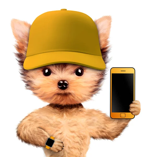 Funny dog wearing cap and holding mobile phone — Stock Photo, Image