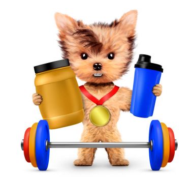 Komik köpek tutan Spor beslenme ve halter