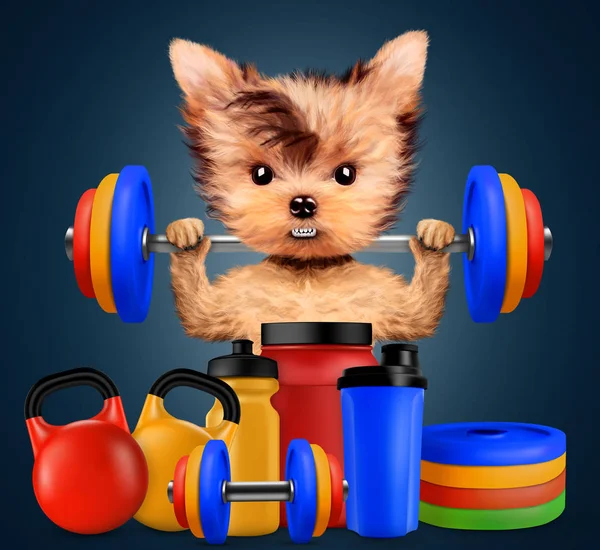 Rolig hund med sportutrustning och hålla skivstång — Stockfoto