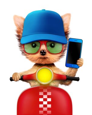 Motosiklet üzerinde oturan cep telefonu ile sevimli köpek yavrusu