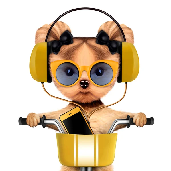 Adorable puppy with headphones sitting on bike — Stock Photo, Image