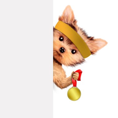 Altın, gümüş ve bronz madalya tutan komik köpek