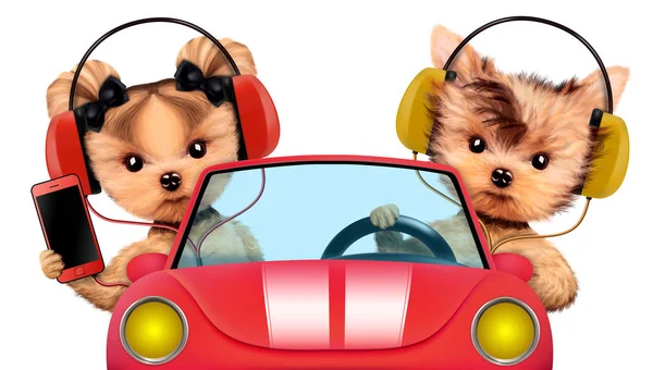 Beberapa anak anjing duduk di dalam mobil berwarna ungu — Stok Foto