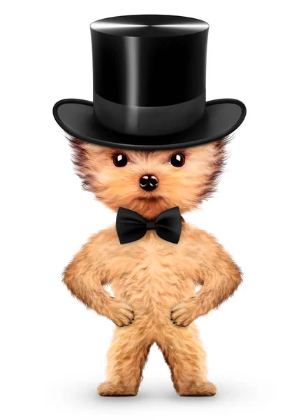 Rolig gentleman doggy med svart båge och cylinder hatt — Stockfoto