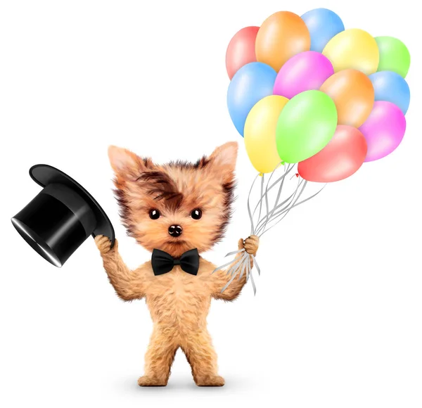 Lustiges Tier hält Luftballons und Zylinder — Stockfoto