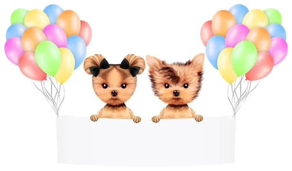 Funny animal keep a banner with balloons — Stock Photo, Image