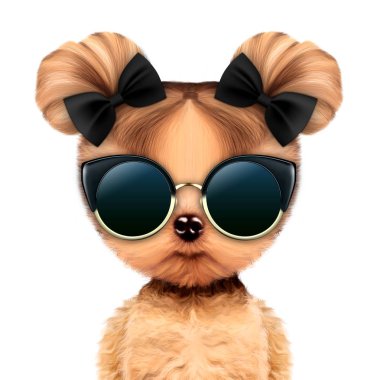 Sevimli köpek kız glamour güneş gözlüğü ile