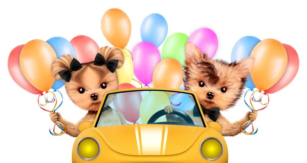 Kilka psów ssitting w cabriolet z balonów — Zdjęcie stockowe