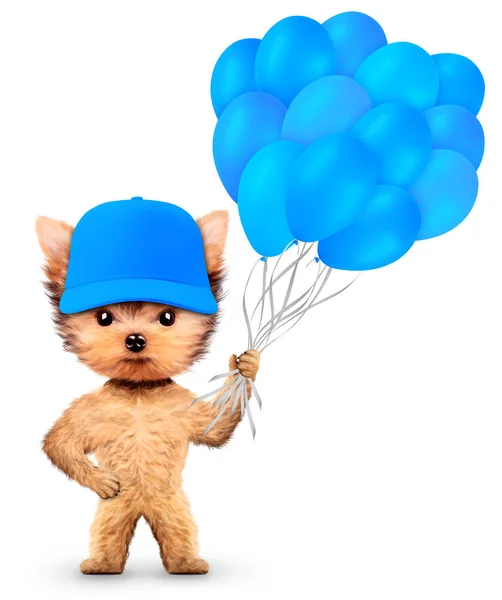 Funny animal keep a bunch of balloons — Stock Photo, Image