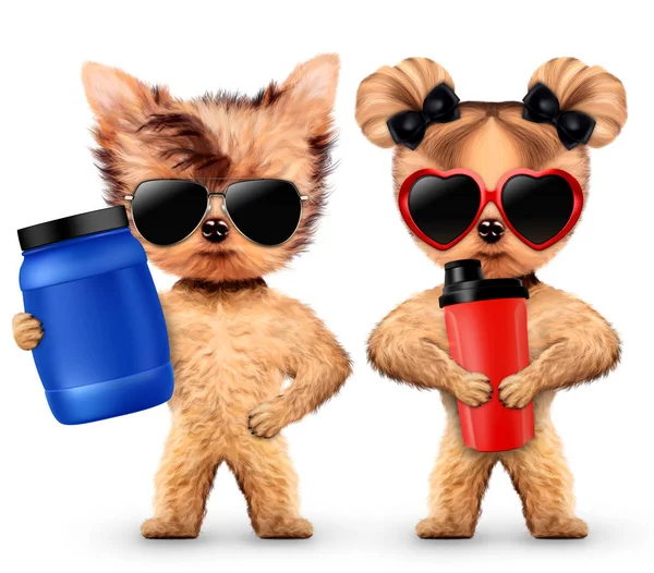 Funny dogs holding shaker and sport nutrition — Stock Photo, Image