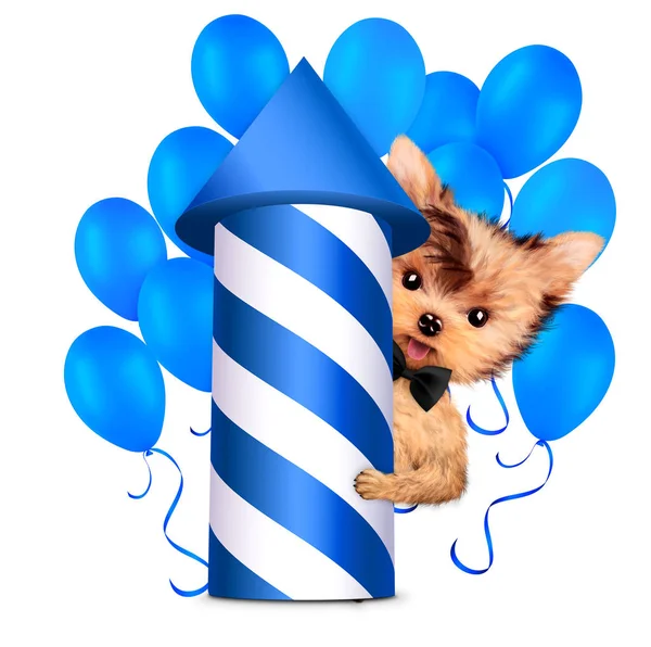 Komik köpek holding havai fişek roket ve balon — Stok fotoğraf