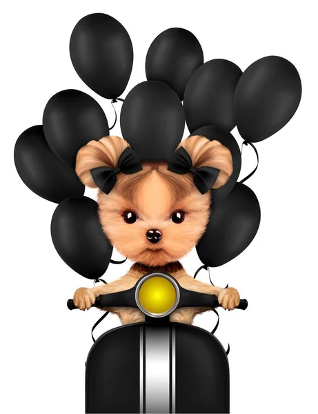 Balonlu motosiklet üzerinde oturan sevimli köpek yavrusu — Stok fotoğraf