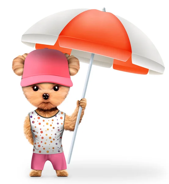 T シャツとショート パンツの傘を保持している動物 — ストック写真