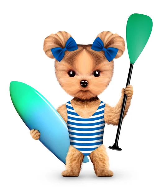 Hayvan giyiyor mayo ve tutun sörf ve kürek — Stok fotoğraf