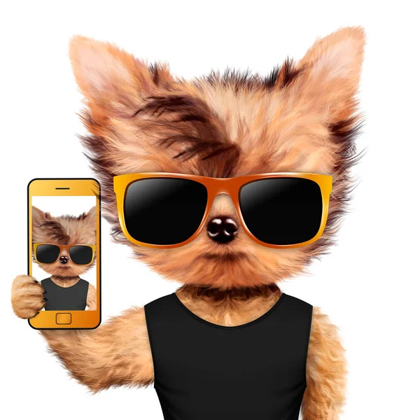 Zvířecí pořizování selfie v tričku a sluneční brýle — Stock fotografie