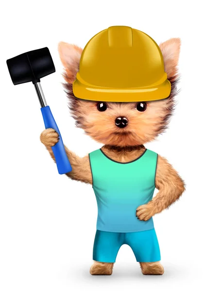 Funny dog in hard hat with hammer