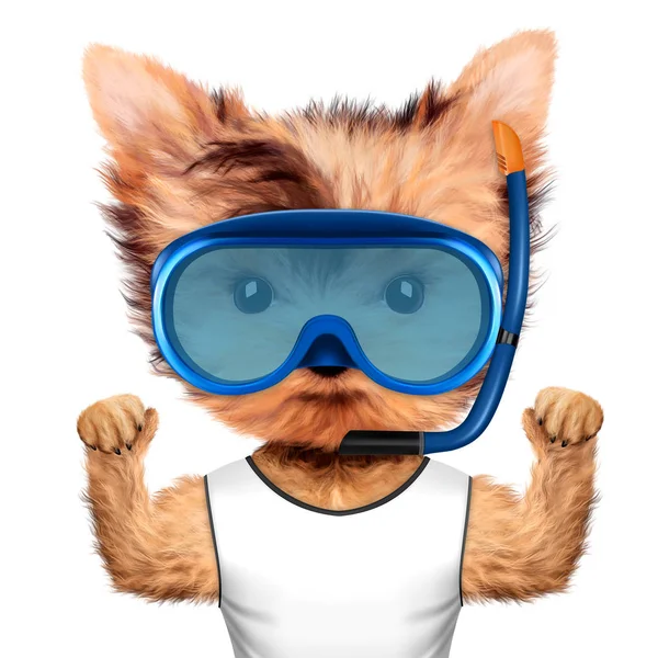 Funny animal in diving mask and t-shirt — Stock Photo, Image