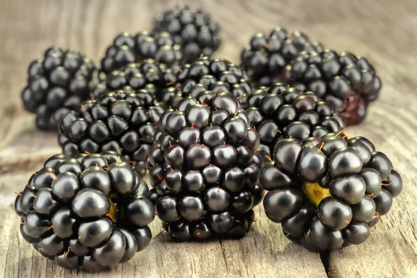 A beautiful selection of blackberries — Stock Photo, Image