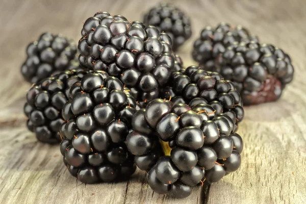 Eine schöne Auswahl an Brombeeren — Stockfoto