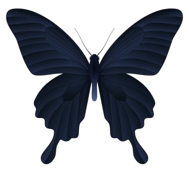 Beyaz arka planda izole edilmiş güzel kelebek.