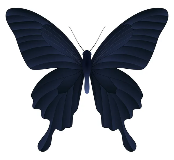 Vacker fjäril isolerad på en vit bakgrund — Stock vektor
