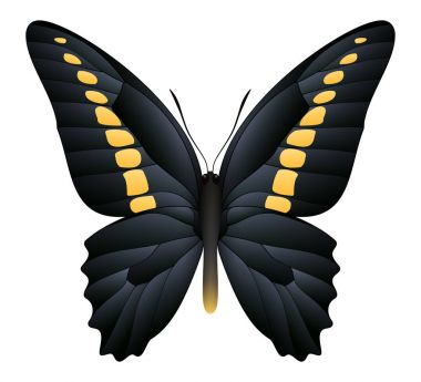 Beyaz arka planda izole edilmiş güzel kelebek.