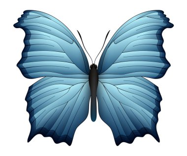 Beyaz arka planda izole edilmiş güzel kelebek.