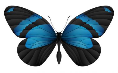 Beyaz arka planda izole edilmiş güzel kelebek.