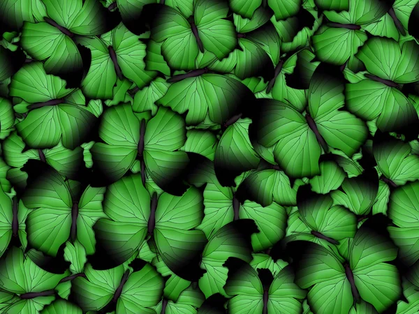 Çok farklı butterflys ile Seamless Modeli