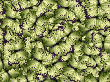Çok farklı butterflys ile Seamless Modeli