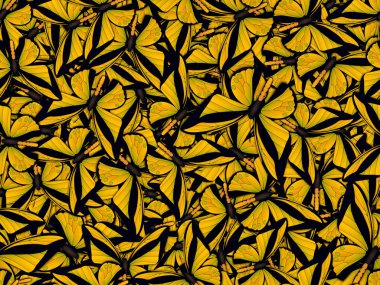 Çok farklı butterflys ile Seamless Modeli