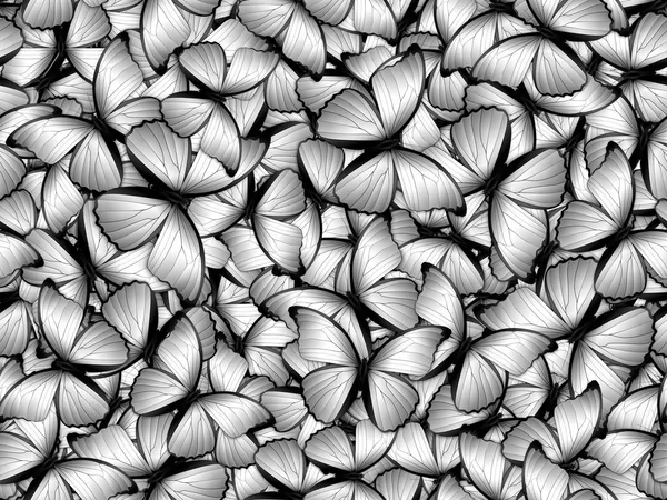 Modello senza soluzione di continuità con un sacco di farfalle diverse — Foto Stock