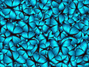 Çok farklı butterflys ile Seamless Modeli
